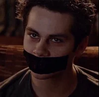 Void stiles 