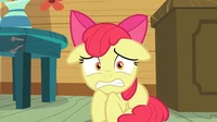Applebloom time loop