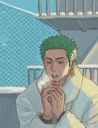High school Zoro