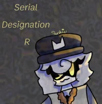 Serial Designation R