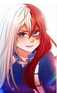 Shoto todoroki 