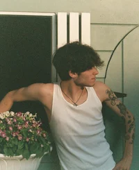 Matt sturniolo