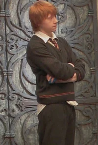Ron Weasley 