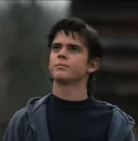 Ponyboy Curtis