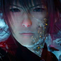 Noctis Lucis Caelum