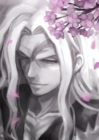 OLD Sakura Ogami