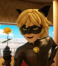 Chat Noir