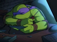 Tmnt 2003 Donnie