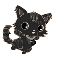 Lvaite JP