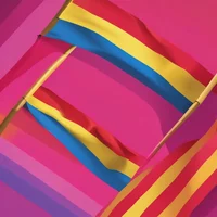 2 Gay-Pan- Roommates