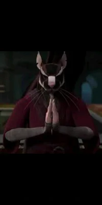 Splinter