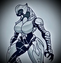 Female Arbiter