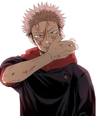 Итадори и сатору 