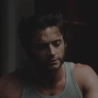 Wolverine - Logan 