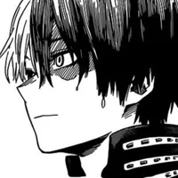 Shoto Todoroki