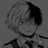 Шото Тодороки 