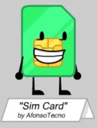 Sim Card