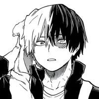 Shoto Todoroki