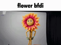 Flower -IF-