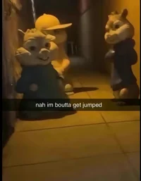 Douma akaza kokoshbu