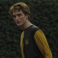 Cedric Diggory 