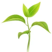 be a plant simulator