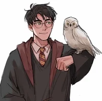HARRY POTTER 