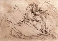 Caught dragon couple