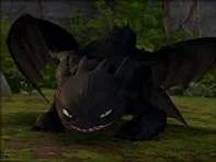 Taming Toothless 