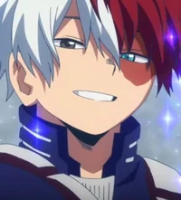 Shoto Todoroki