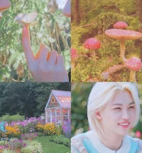 Lee Felix