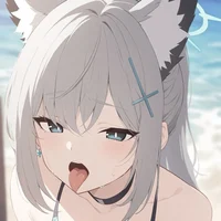 Shiroko Sunaookami