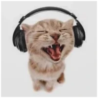 skz fan meet n greet