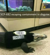 SCP FOUNDATION