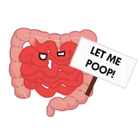 IntestinesHumanBuddy