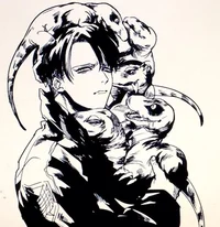 Levi Ackerman 