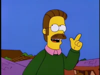 Ned Flanders