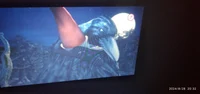 Alley the crow