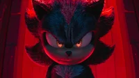 Shadow the Hedgehog 