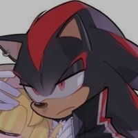 Shadow The Hedgehog