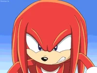Knuckles 