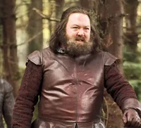 Robert Baratheon