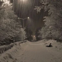 The snowy night