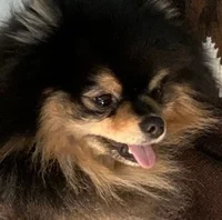 -Yeontan-