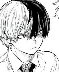 Shoto Todoroki
