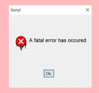 Team Fatal Error