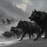 Werewolf pack