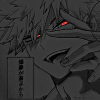 Stalker Bakugo