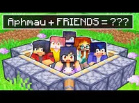 Aphmau SMP and You