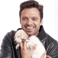 Sebastian Stan